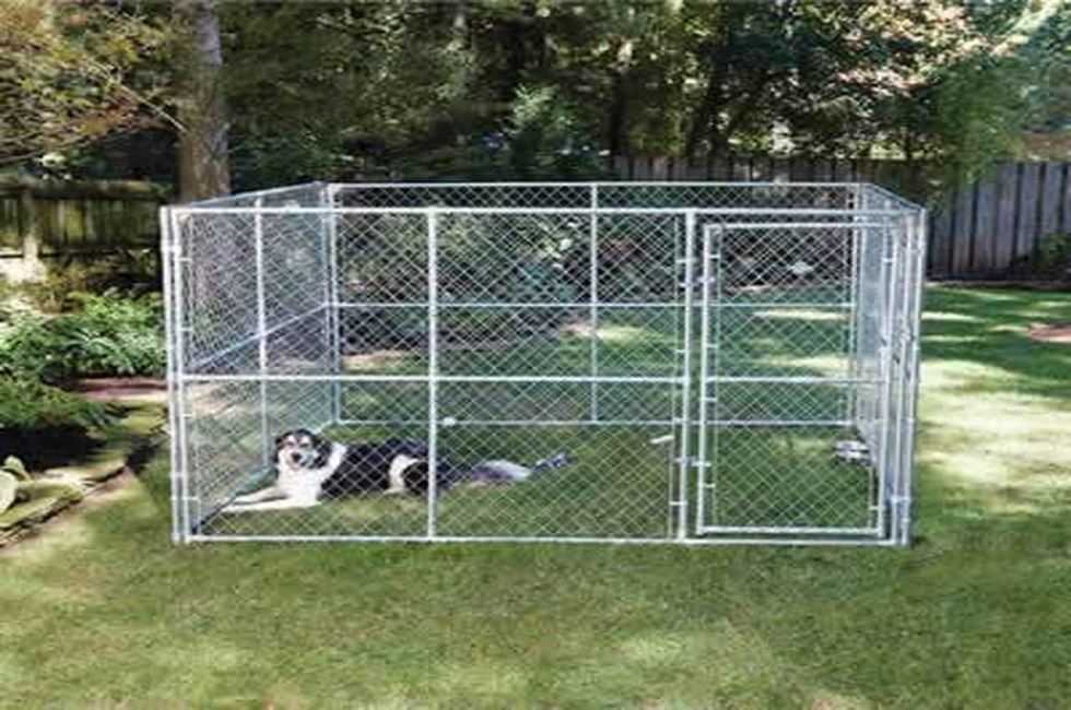 Dog kennels