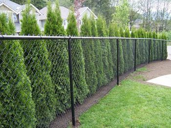 Chain link
